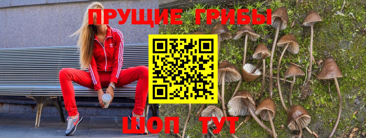 Гашиш Лабытнанги