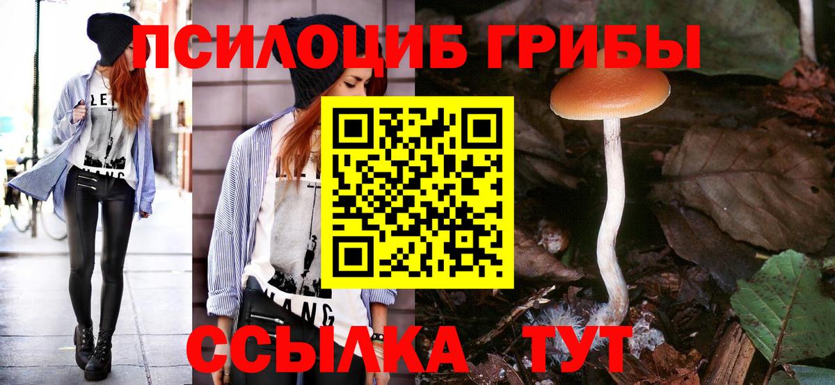 Псилоцибиновые грибы GOLDEN TEACHER  Вход с VPN  Лабытнанги 